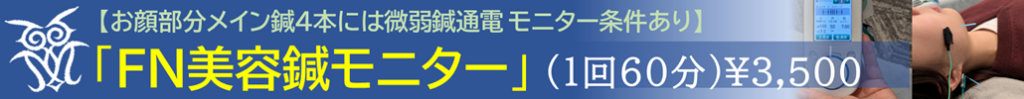 FN美容鍼モニター