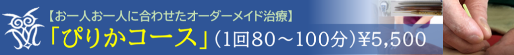 202411ぴりかコース