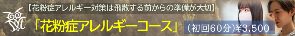 花粉症アレルギーコース