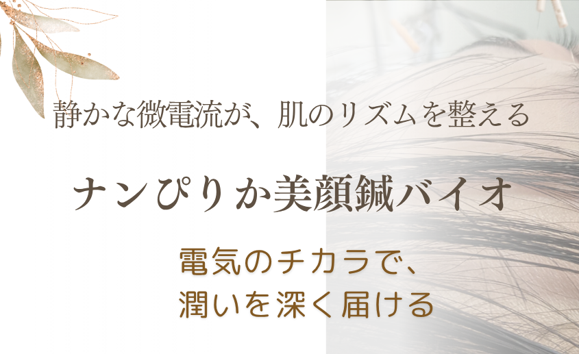 ナンぴりか美顔鍼バイオ