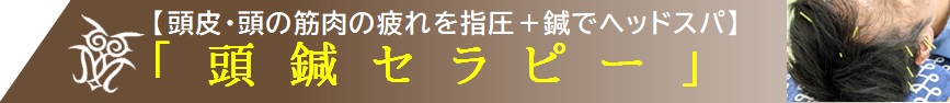 仙台市青葉区国分町|ぴりか治療院|鍼灸治療オプション(頭鍼セラピー)