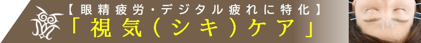 仙台市青葉区国分町|ぴりか治療院|鍼灸治療オプション(視気ケア)
