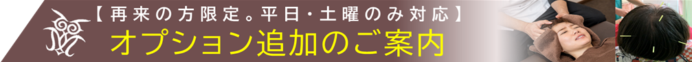 コースオプション